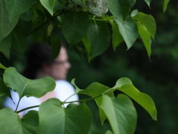 tradgard_2012_06_5_20120613_1743995225_20121120_1767017801